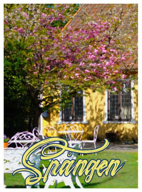 Spangens Gastgivaregard Inn Ljungbyhed 外观 照片